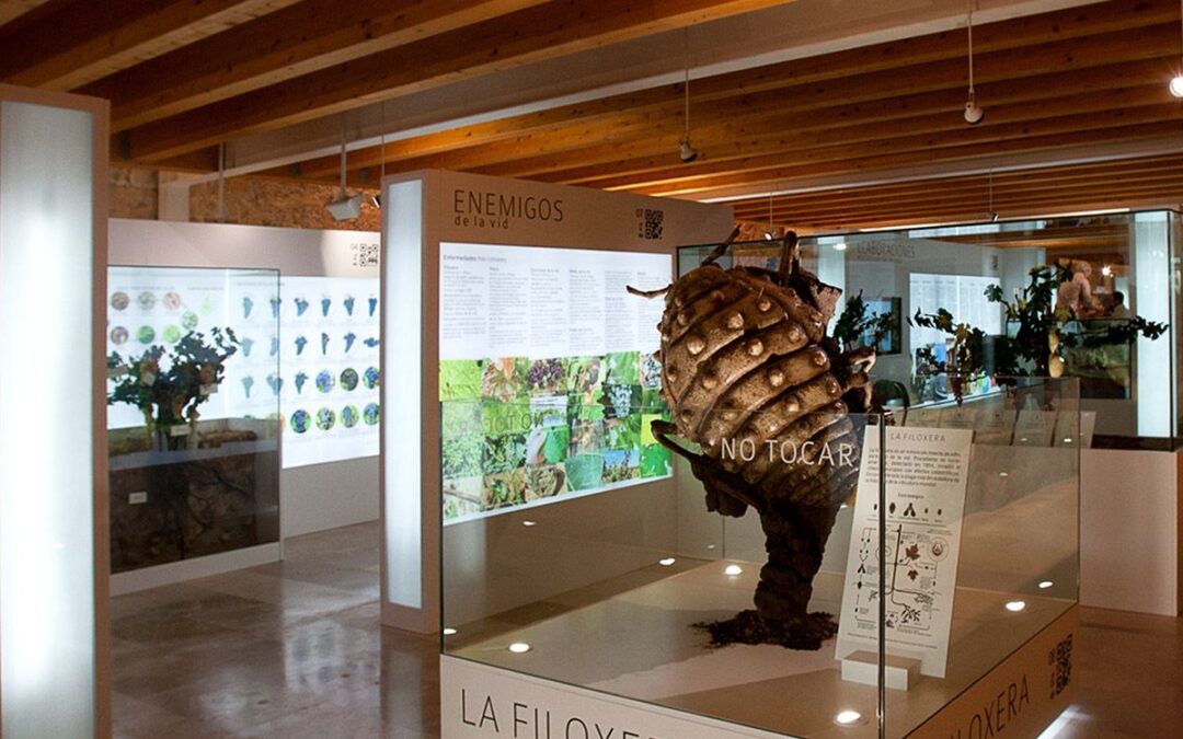 Proyecto Museo Provincial del Vino