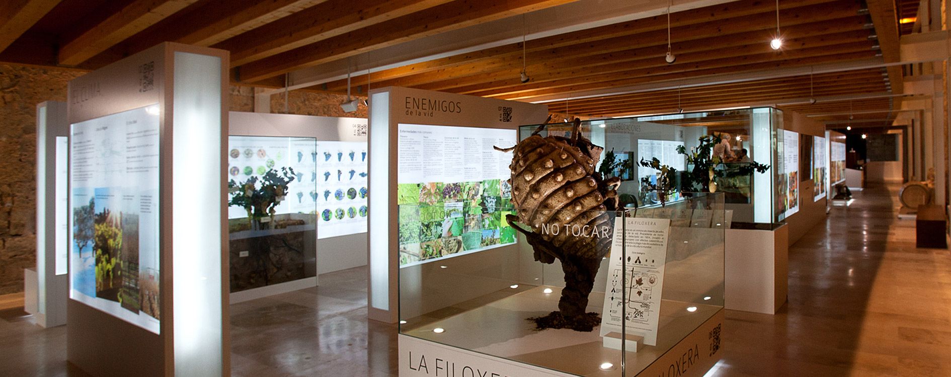 museo del vino de valladolid musealizacion by teimaginas.com